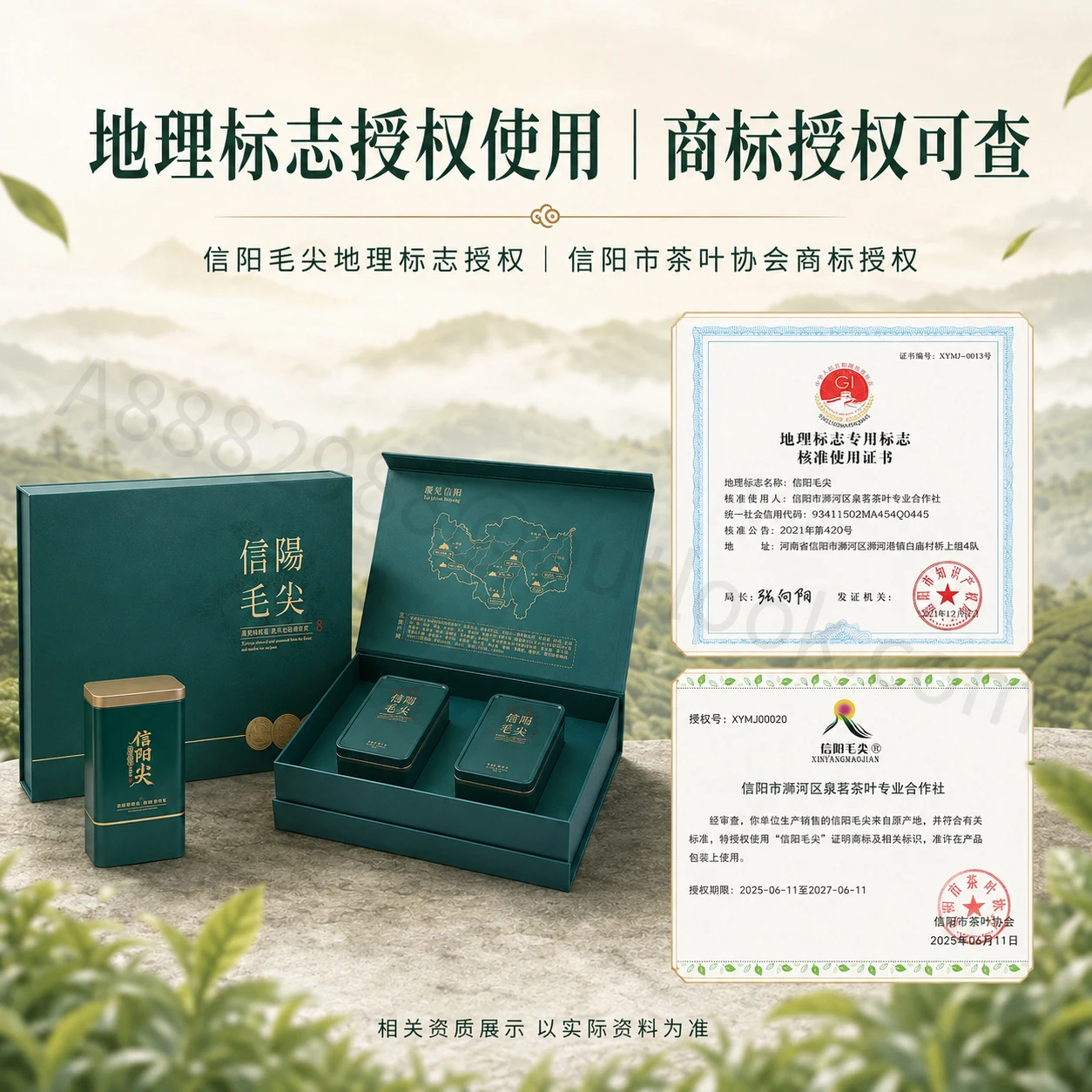 信阳毛尖主图与详情页系列主图