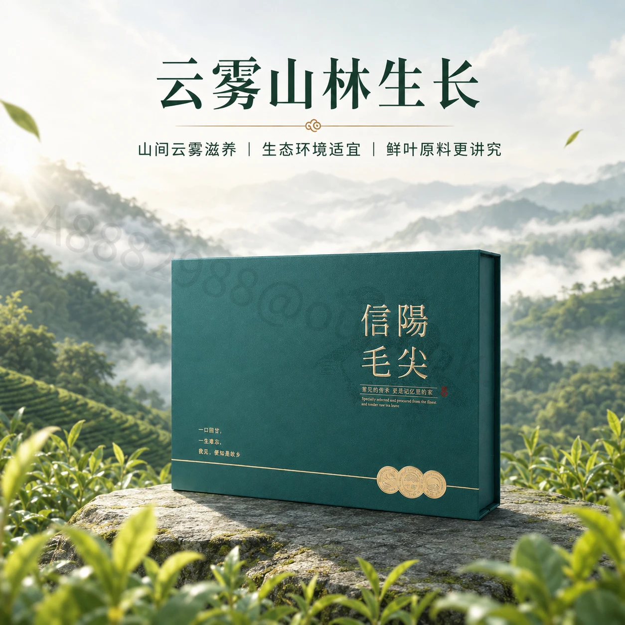 信阳毛尖主图与详情页系列主图