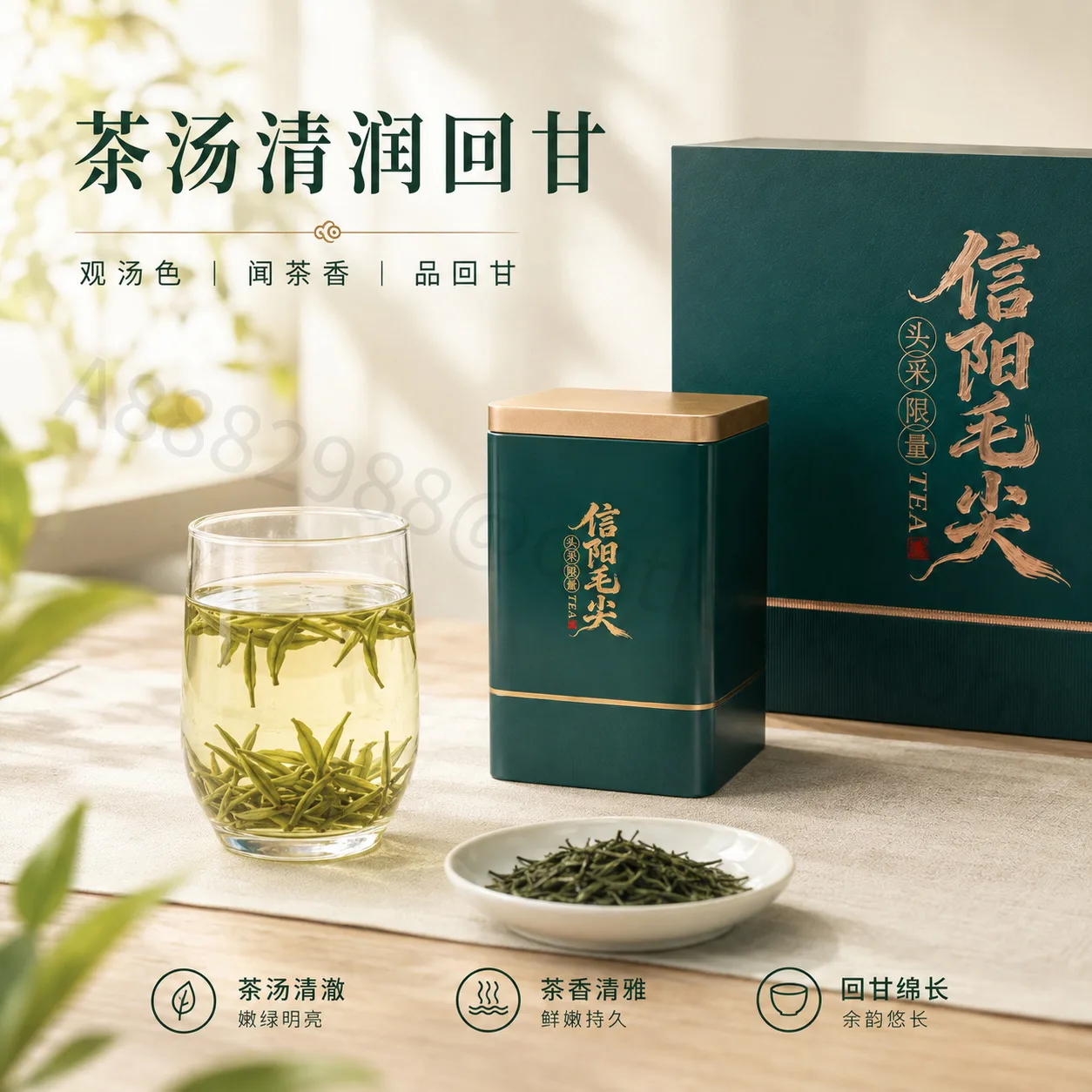 信阳毛尖主图与详情页封面