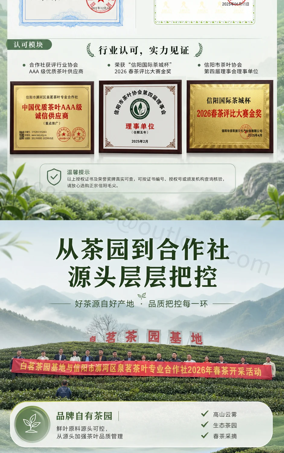 信阳毛尖主图与详情页详情页第 6 段