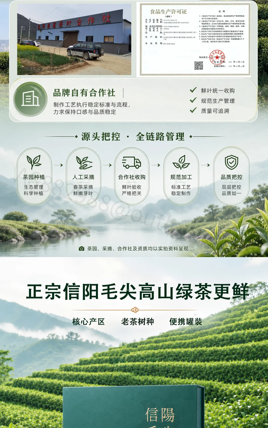 信阳毛尖主图与详情页详情页第 7 段