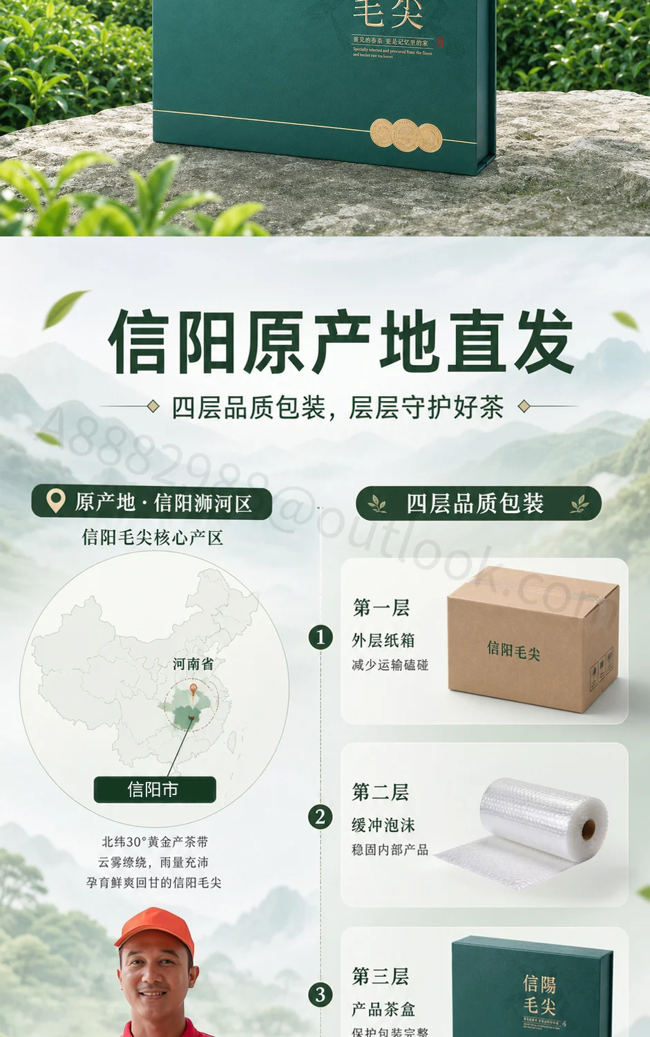 信阳毛尖主图与详情页详情页第 8 段